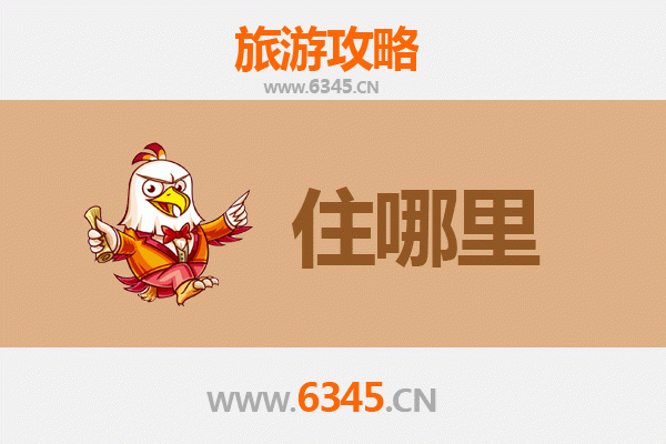 邯郸鸡泽旅游民宿全攻略：沉浸式体验千年椒乡的田园诗意